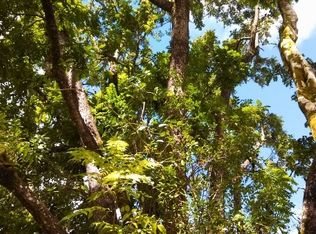 Off Middle Rd LOT 17-C, Kurtistown, HI 96760