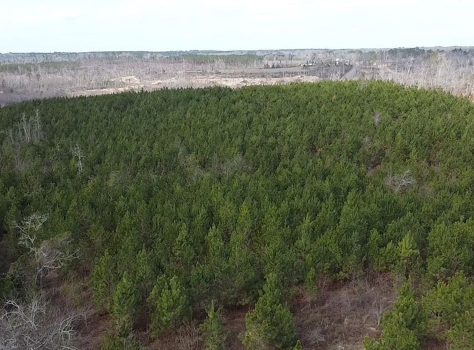 1st image of 0 Butter And Egg Rd