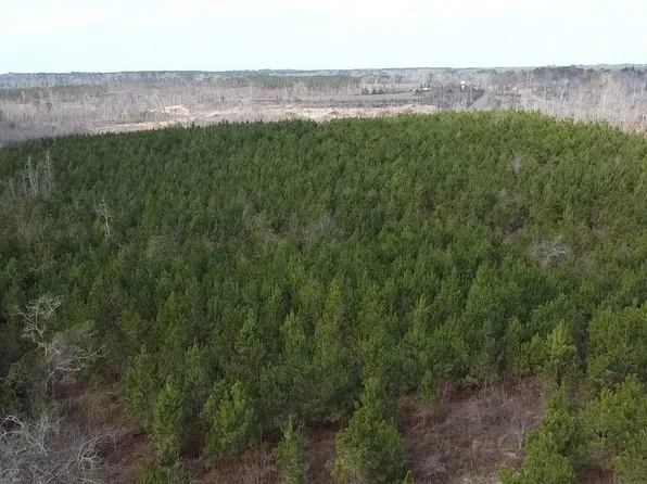 0 Butter And Egg Rd, Troy, AL 36081