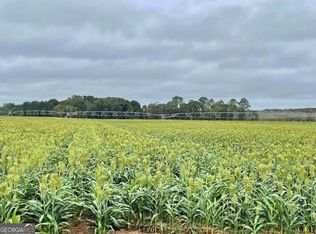 1538 Quail Run Rd, Ashburn, GA 31714