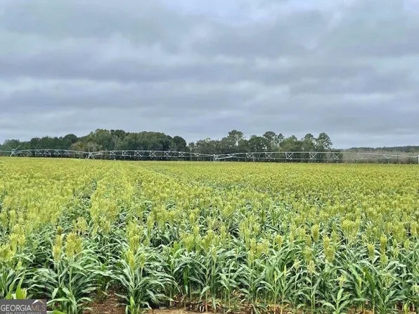 1538 Quail Run Rd, Ashburn, GA 31714