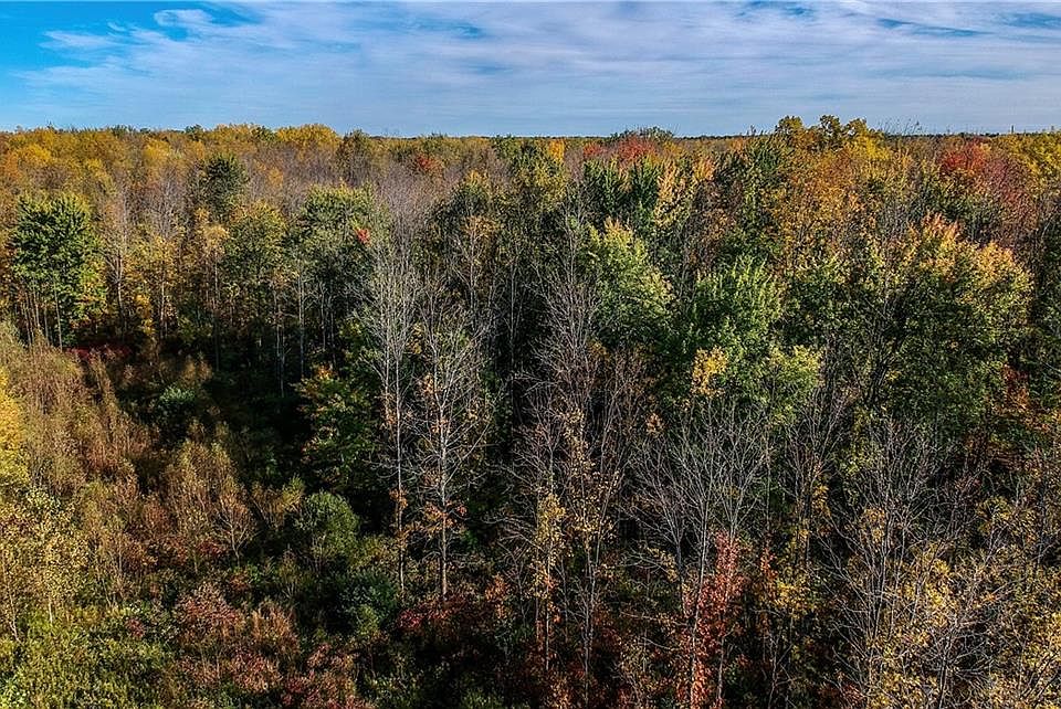 6436 Knickerbocker Rd, Ontario, NY 14519 Zillow