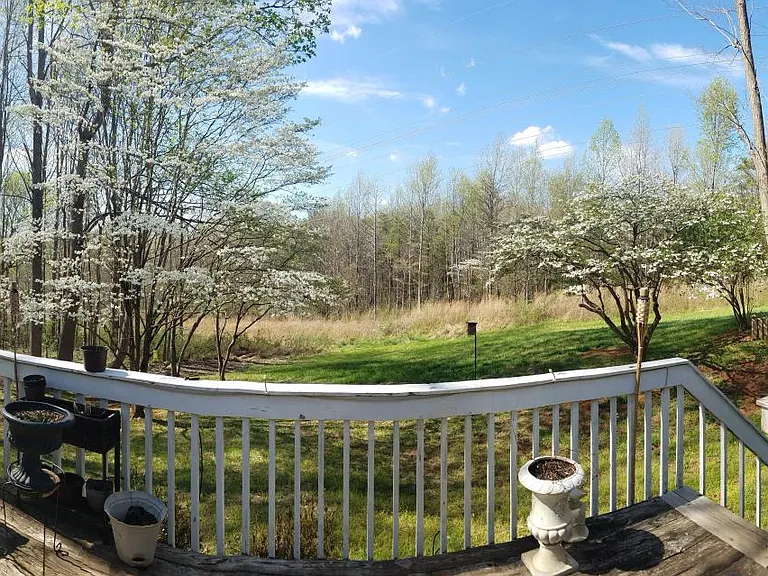 Another panoramic from the deck, looking toward the woods behind the house.