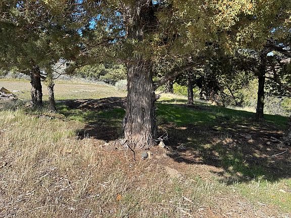 5th image of Elk Rdg Unit 9