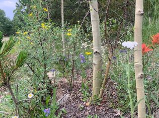 72 Quarry Way, Fairplay, CO 80440