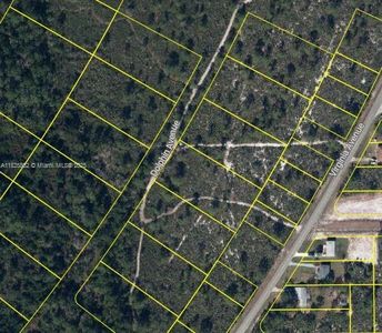 719 Dolphin Ave, Lake Placid, FL, 33852