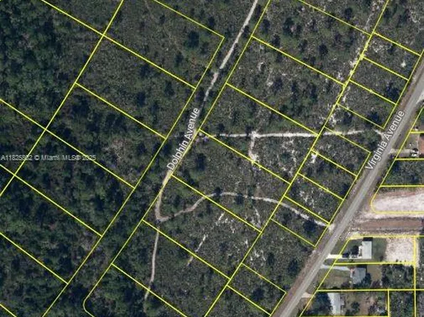 719 Dolphin Ave, Lake Placid, FL 33852