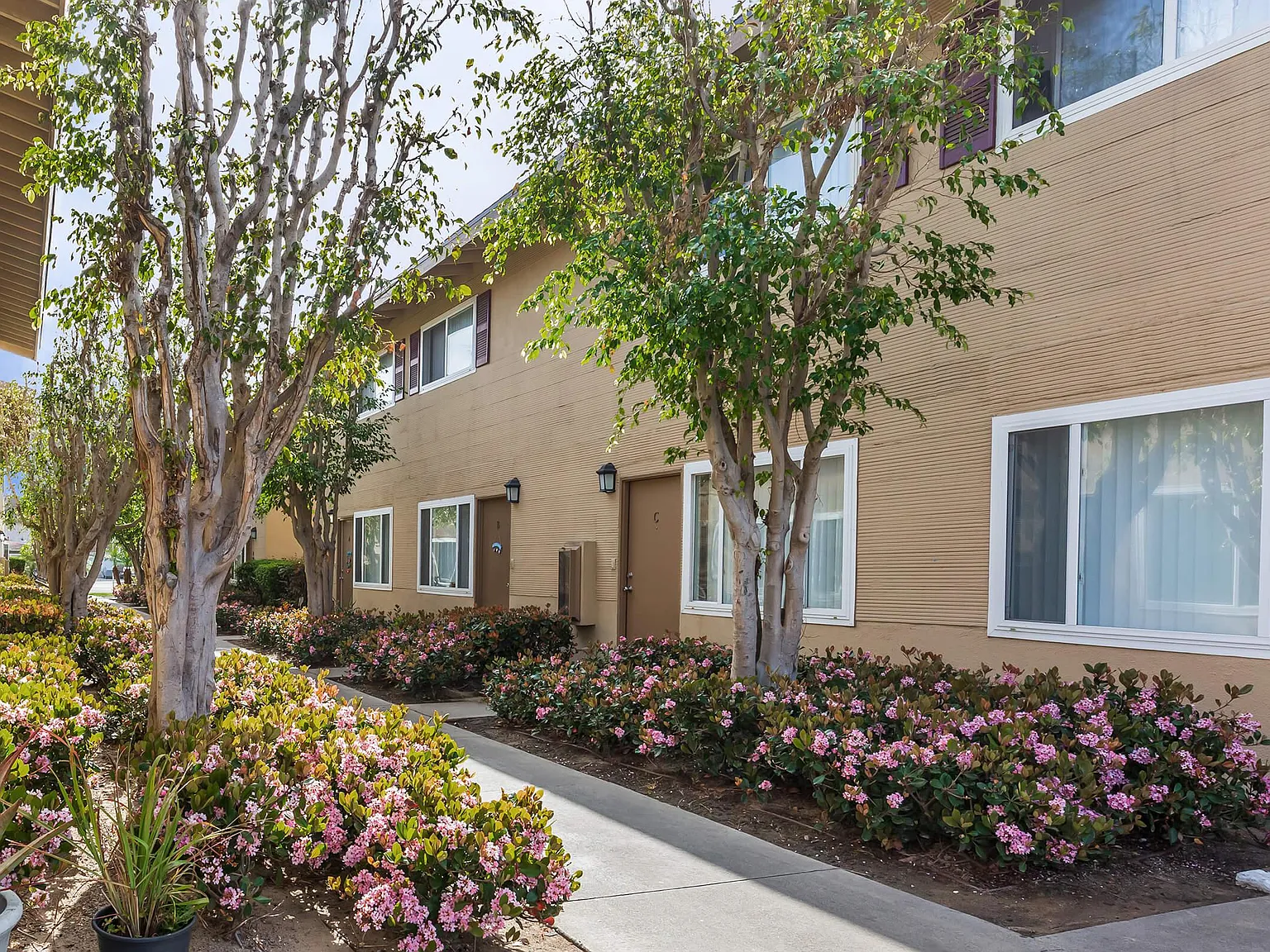 Woodhaven Townhomes — Photo 2