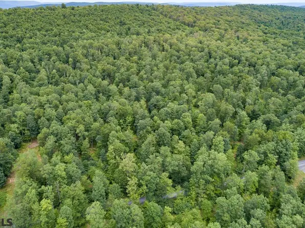 LOT 3D Decker Valley Rd, Spring Mills, PA 16875