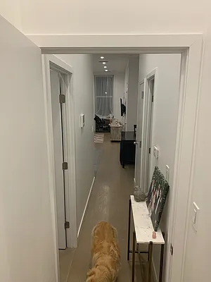 Rented by Douglas Elliman | media 16