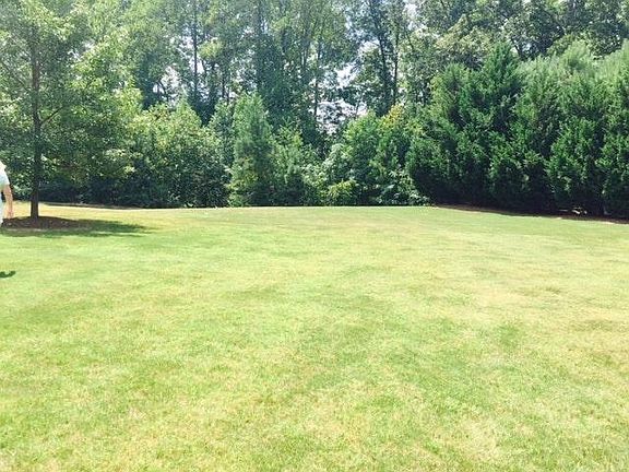 Very spacious green area out back
