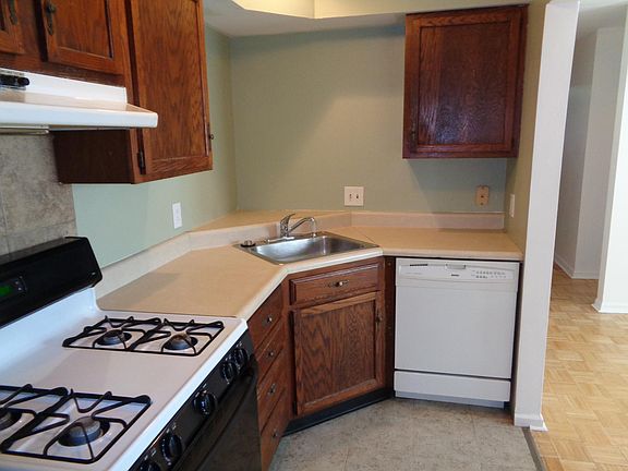 Dishwasher, stainless steel sink with garbage disposer.