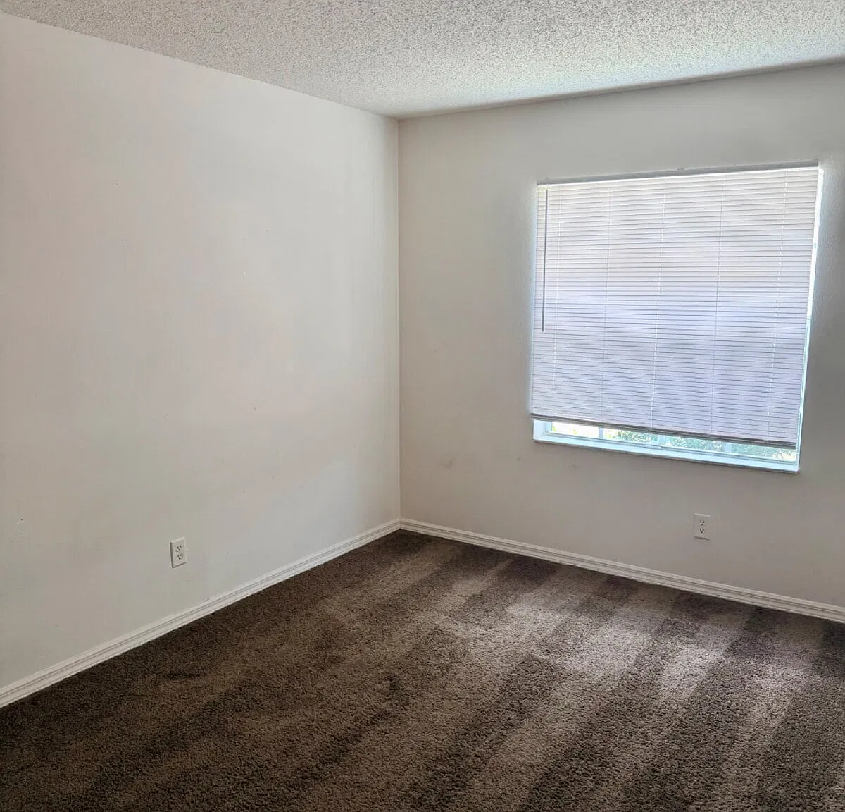 3 bed, 2.0 bath, $1,650 — Photo 4