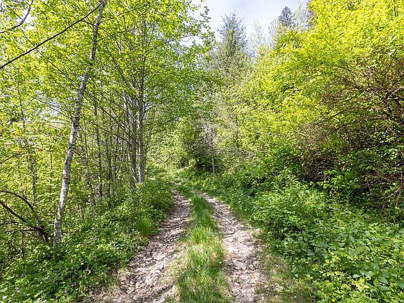 5th image of Snag Mountain Rd