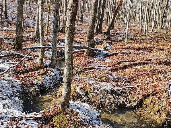 26 Williams Dr, Spencer, TN 38585