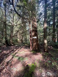 5366 NE Old Mill Road, Bainbridge Island, WA, 98110