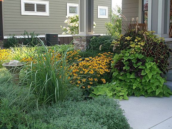 Front Landscaping