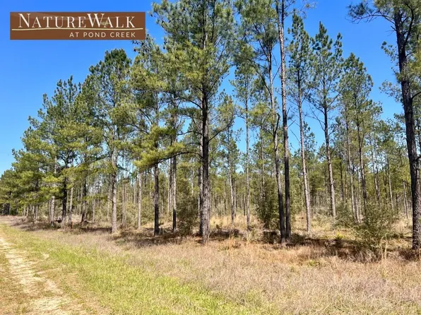 LOT 21 Pine Preserve Ln, Milton, FL 32571