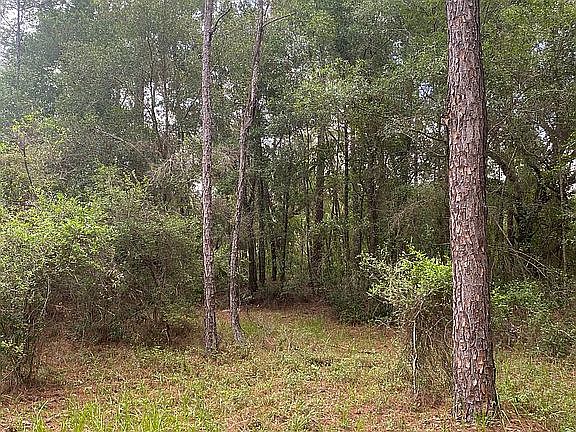 4th image of 0 Faculty St Lot 6
