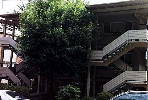 Main Property Photo