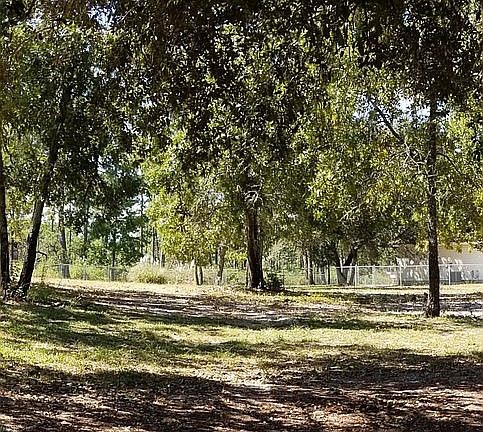 4th image of 2089 Woodlawn Dr
