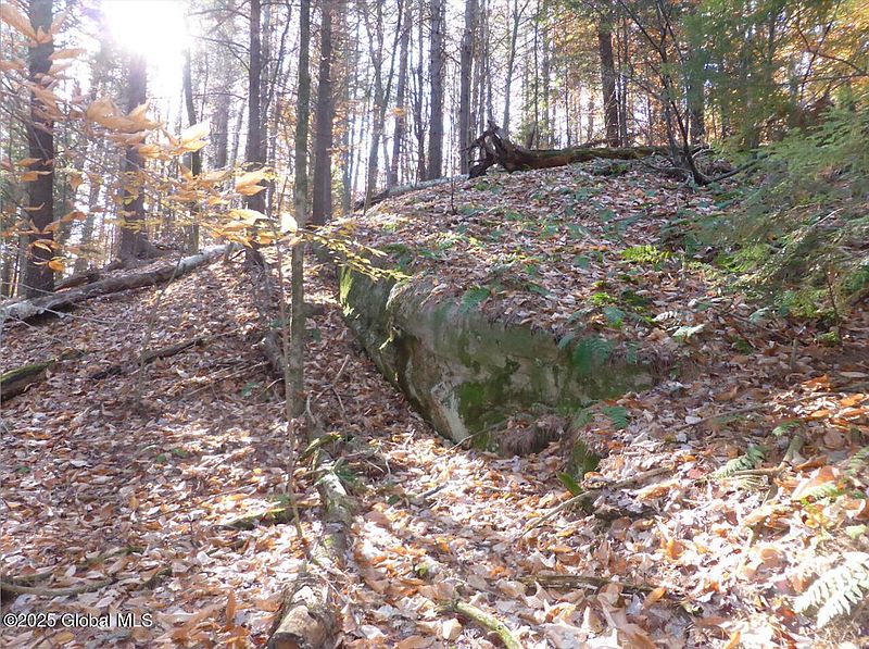 4th image of 487 Antone Mountain Road