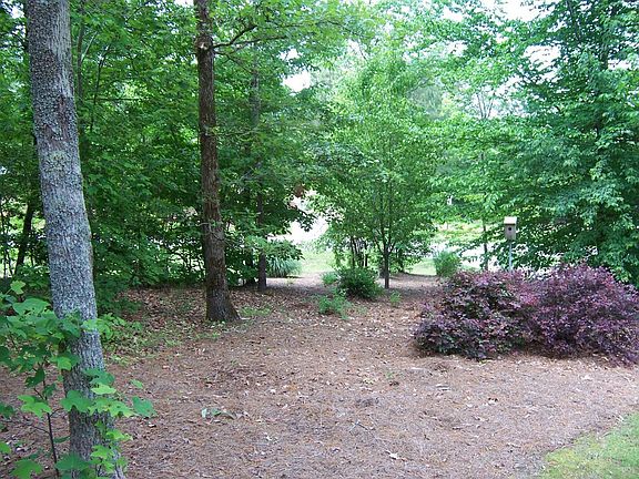 View from Front Door