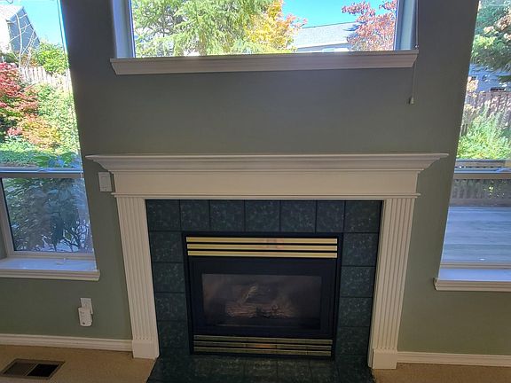 Gas fireplace