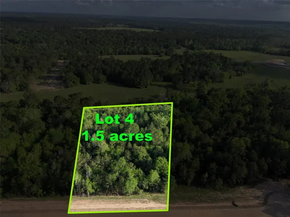 175 Remington Ct Lot 4, Coldspring, TX 77331