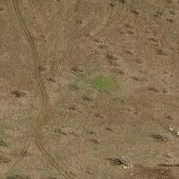 1st image of 1808 White Feather Ln