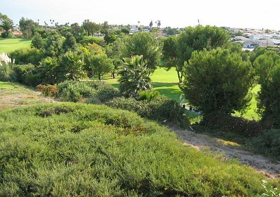 View from your balcony; Many migratory birds in the area nest here