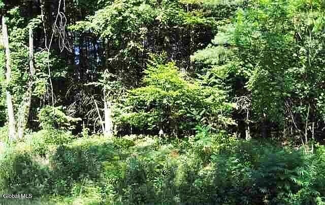 1st image of 34 Clothier Road