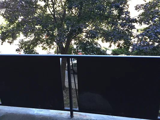 Rented by Real Estate Enterprise Firm | media 19