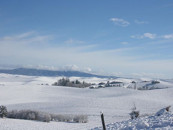 5th image of 1283 Kitzmiller Rd