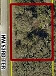 3rd image of 2646 NW 53rd Terrace