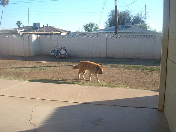 5th image of 3427 W Solano Dr N