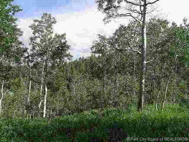2nd image of 79 W Elk Rd #79-PI-G