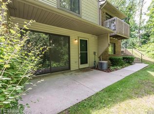 410 Spring Brooke Dr, Brighton, MI 48116
