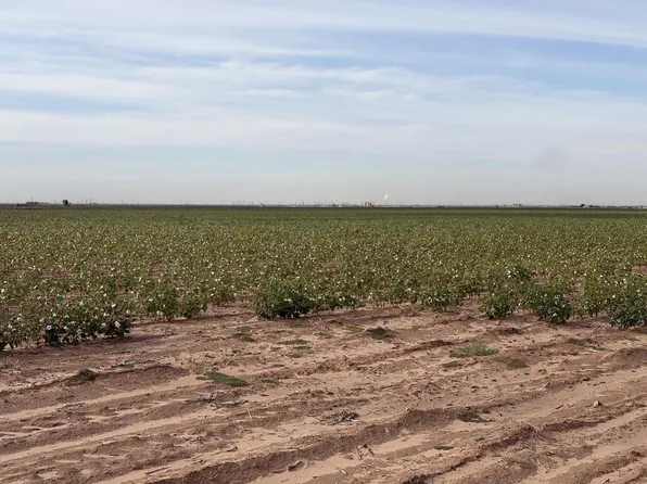 3500 County Road C #3500, Stanton, TX 79782