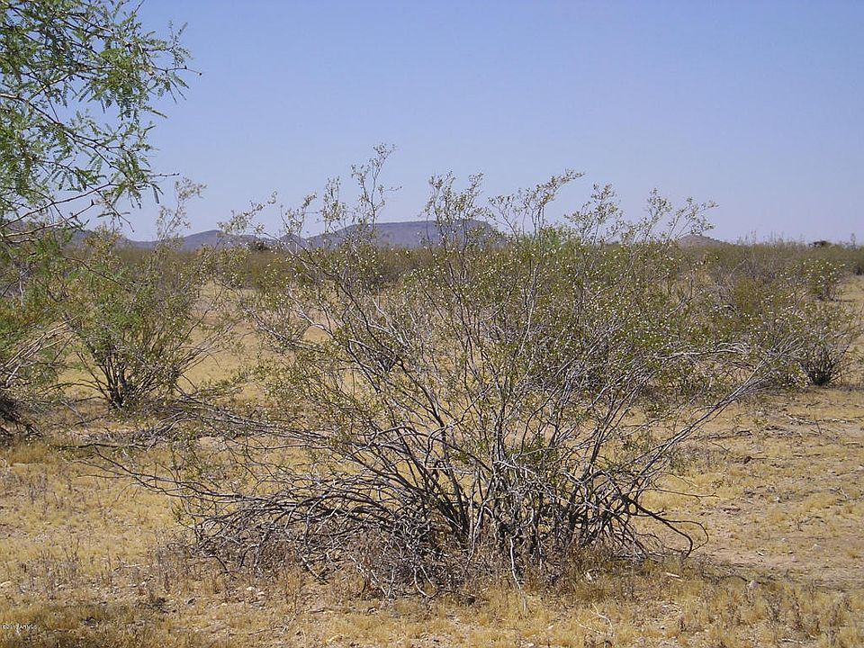 1st image of 43909 W Us Highway 60