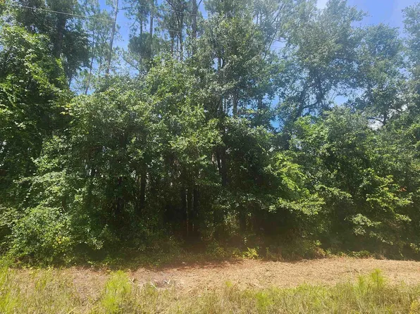 112 SE 2nd St, Georgetown, FL 32139