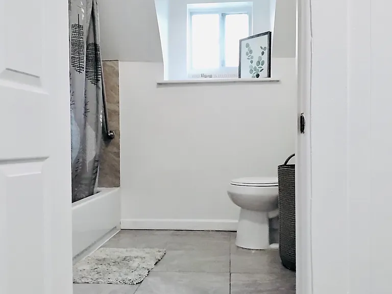 43-45 Jackson Ave #3 — Photo 9