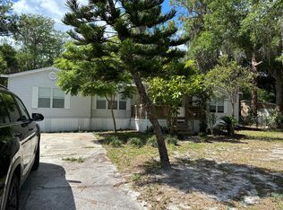 14206 Chisholm Ln, Odessa, FL 33556