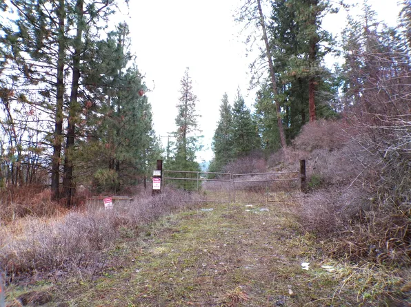 21XX Mollenberg Rd, Kettle Falls, WA 99141
