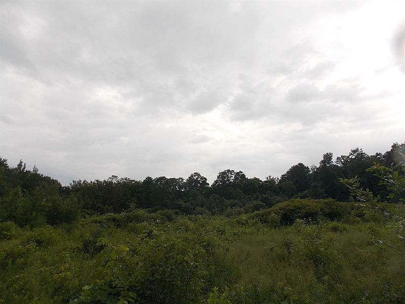 4th image of 0 PEACEABLE Street
