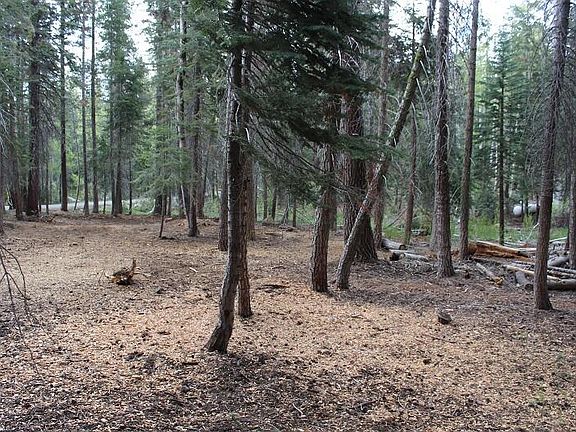 4th image of 57413 Ponderosa Dr