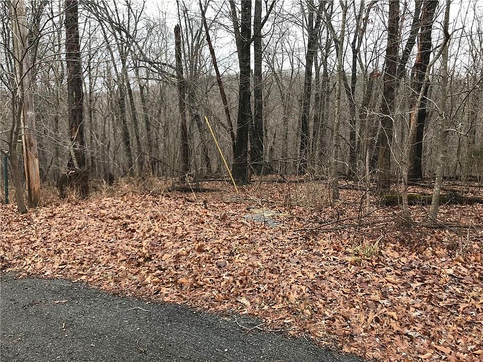 2nd image of Hollym Cir