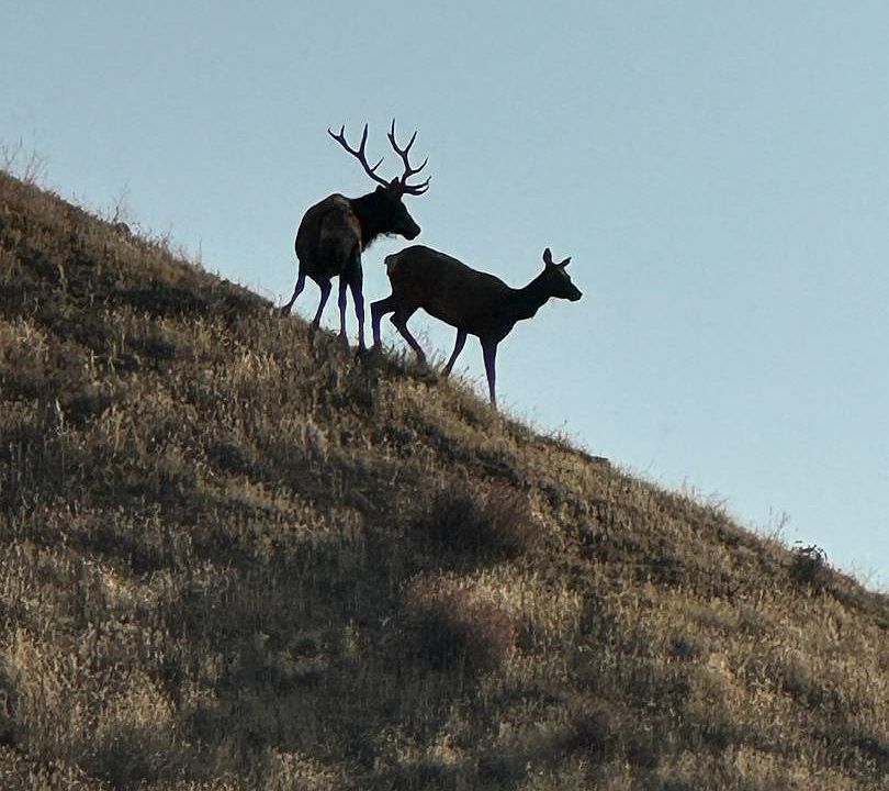 1st image of 19825 New Idria Rd