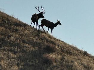 19825 New Idria Rd, Paicines, CA 95043