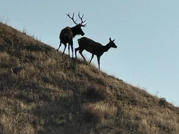 19825 New Idria Rd, Paicines, CA 95043